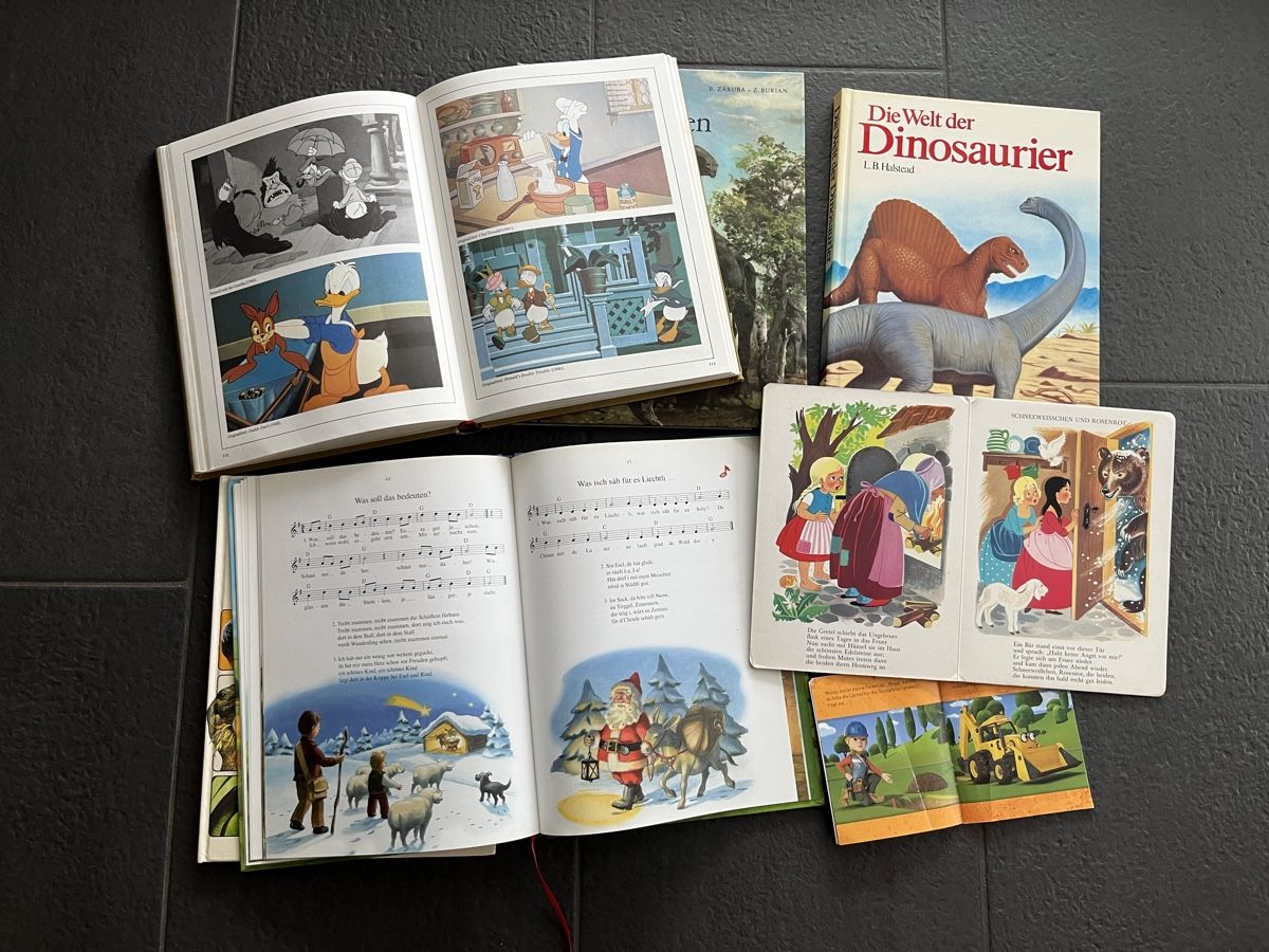 Libri: 7 Kinderbücher – Usato da Rottenschwil venduto da gle81 3