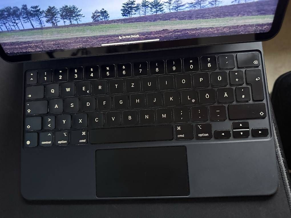 Tablet PC: iPad Pro 12.9 M1 + Magic Keyboard Space Grau – Usato da Düdingen venduto da imnotkry 4