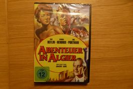 DVD OVP Abenteuer in Algier