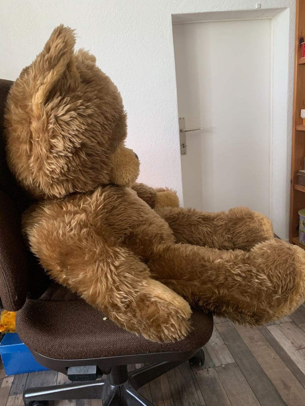 Spielzeuge: Teddybär – Gebraucht aus Gundetswil von Egro01 2