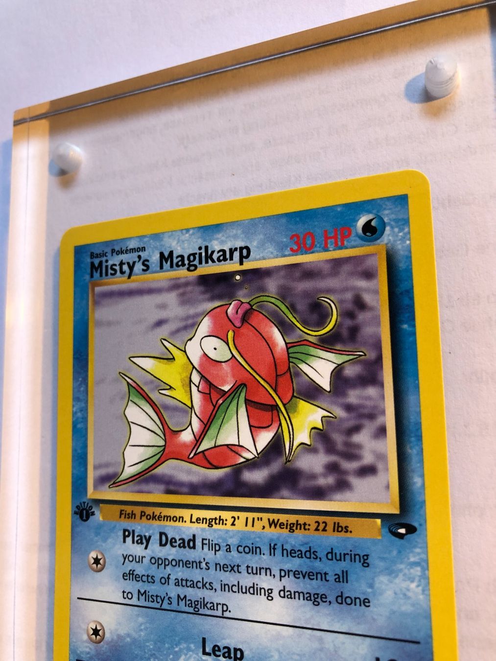 Sammelbilder & Trading cards: Misty's Magikarp 1st Gym Challenge - MINT - ab 1.- – Gebraucht aus Giubiasco von dan_pr8b 3