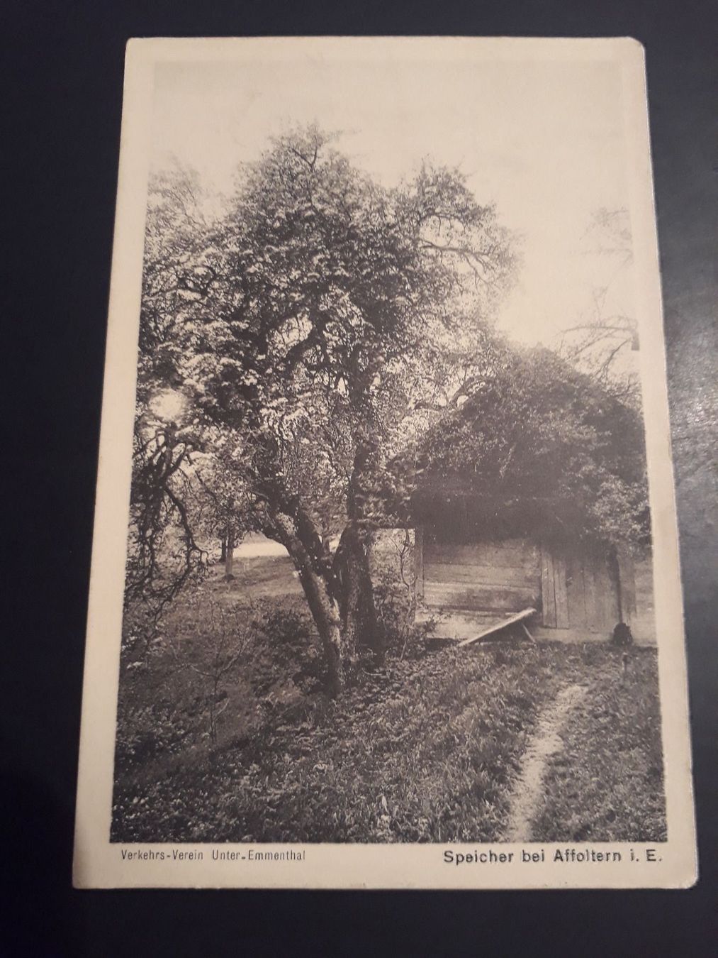 Cartoline postali: AK Speicher b. Affoltern i.E. – Usato da Herzogenbuchsee venduto da Herkules9