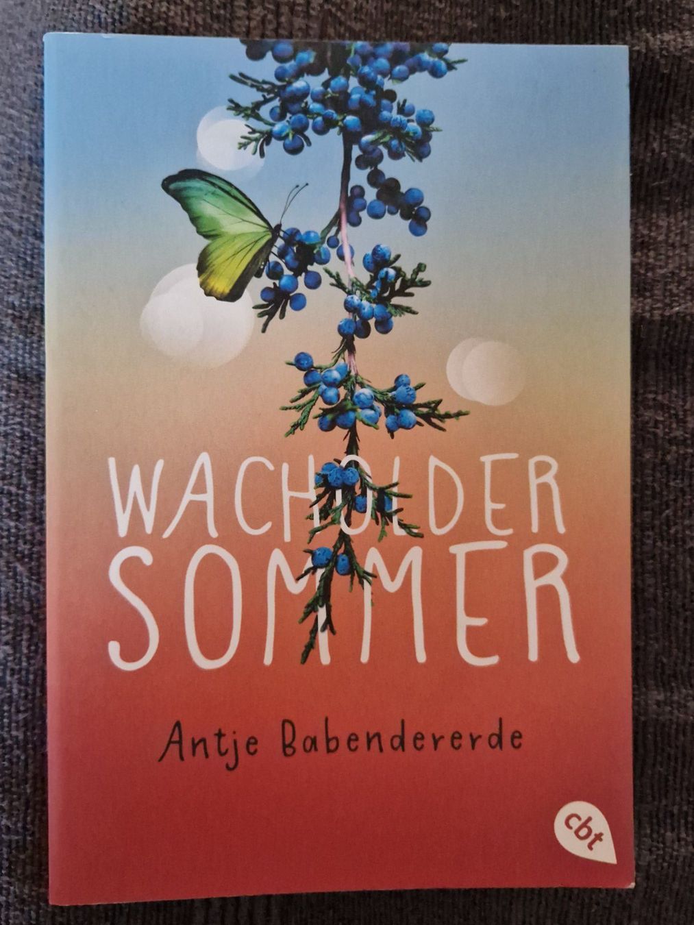Libri: Antje Babendererde Wacholdersommer – Usato da Neuhausen am Rheinfall venduto da Alchimista