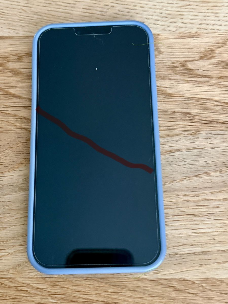 Apple Telefoni cellulari / Smartphones: iPhone 13 Pro Max – Usato da Winkel venduto da gracom 4