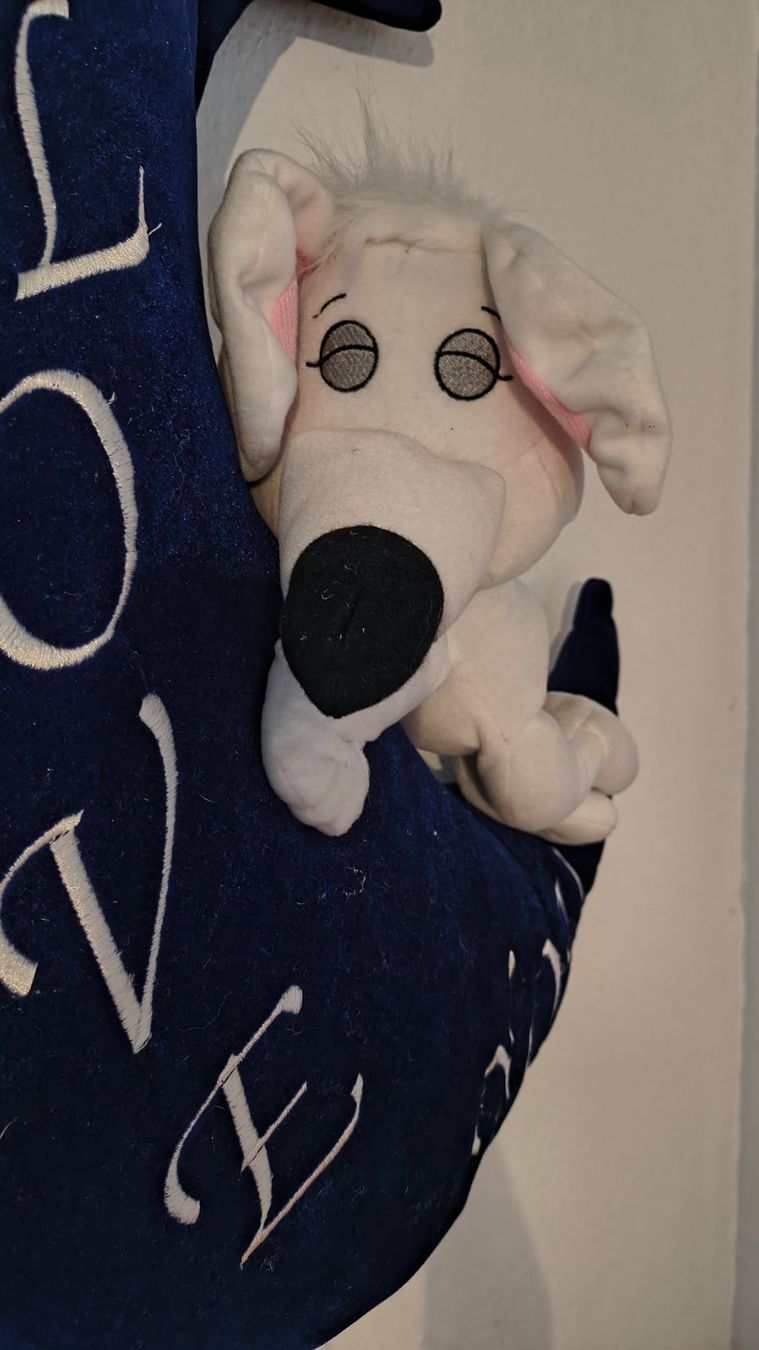 Toutes les décorations: Diddle Maus auf Mond – D'occasion à Güttingen par Castle7 1