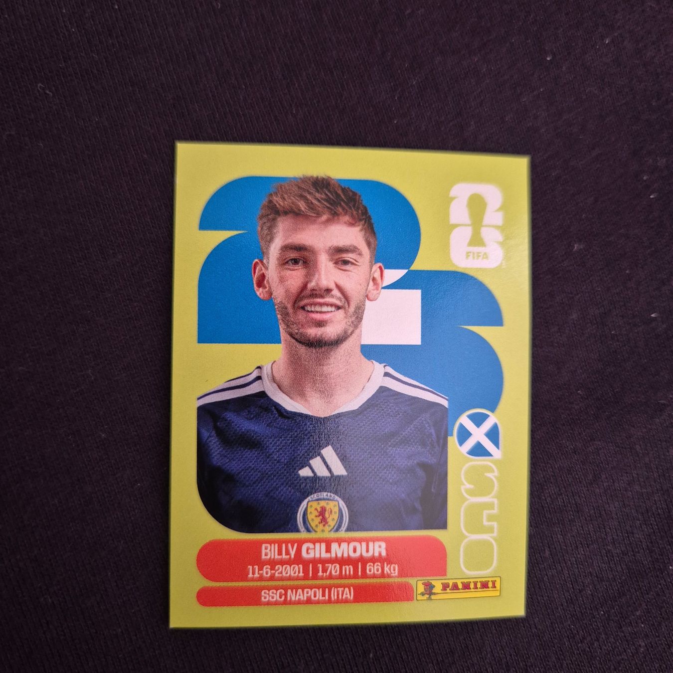 Panini Sammelbilder & Trading cards: SCO 12 Panini FIFA WM 2026 – Neu (gemäss Beschreibung) aus Riehen von tmw_c29m
