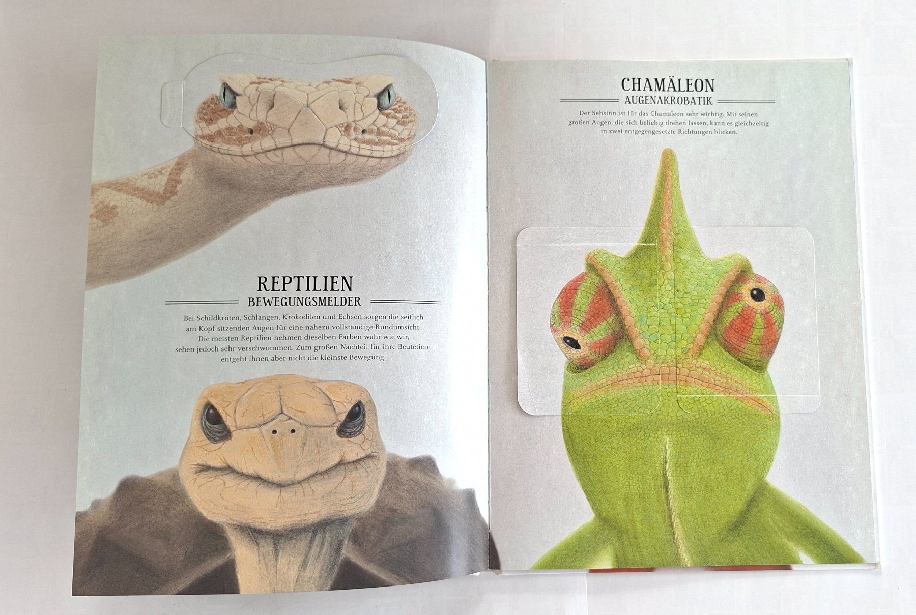 Libri: Kinderbuch: Was sieht eigentlich der Regenwurm? Top! – Usato da Opfikon venduto da Diversamente 7