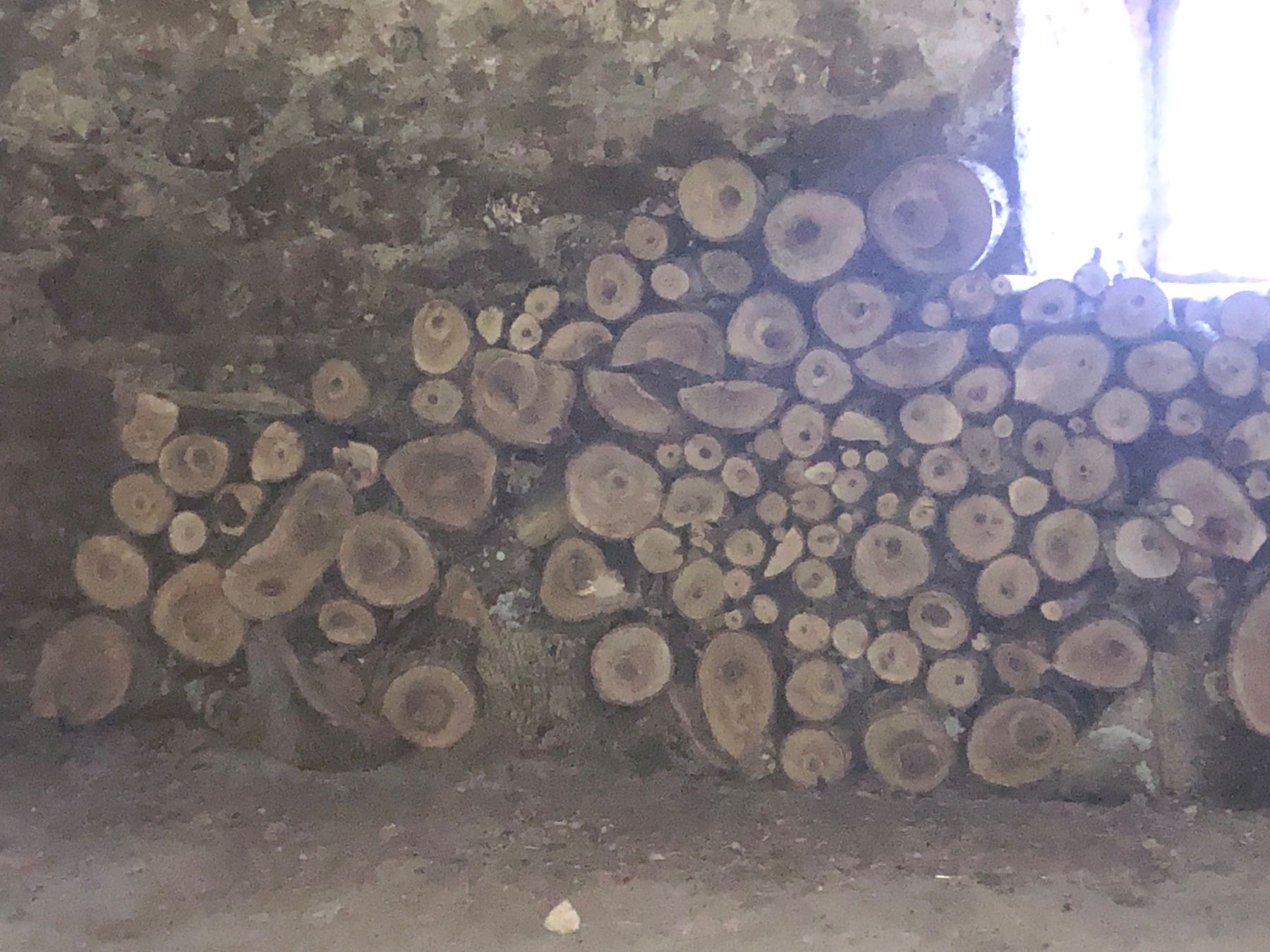 Articoli in legno: Nussbaum Holz – Usato da Neu St. Johann venduto da Gaga-2019 1