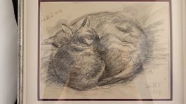 Schlafende Katzen ORIGINAL-ZEICHNUNG signiert