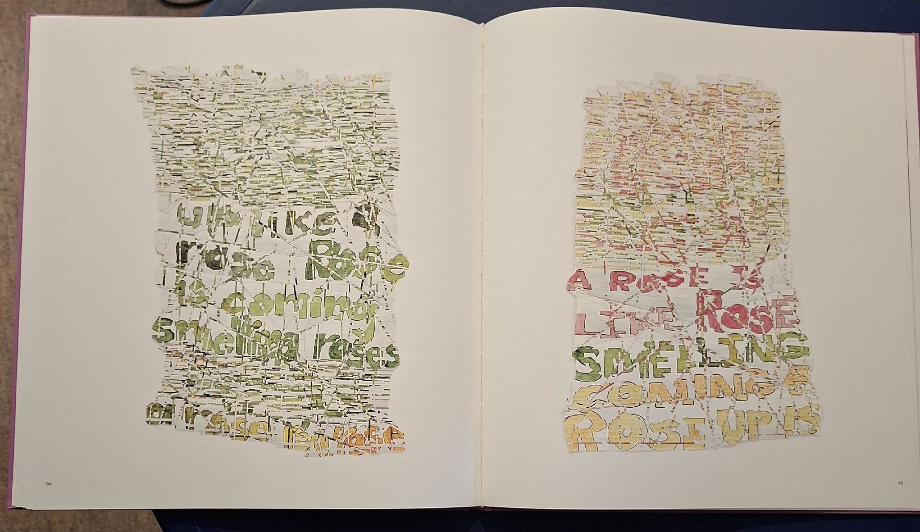 Livres: Roni Horn "Th Rose Prblm" Bildband Steidl 2015 – Neuf (Voir description) à Niederglatt ZH par Siegfried67 9