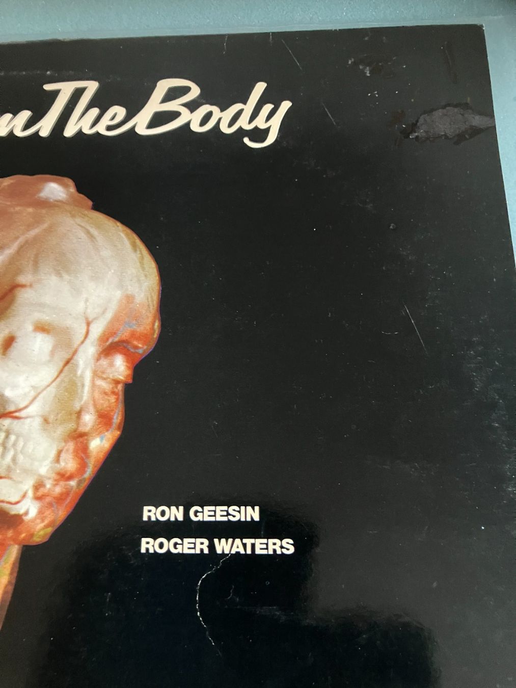 Dischi in vinile: Pink Floyd – Usato da Aarwangen venduto da Jukebox3 1