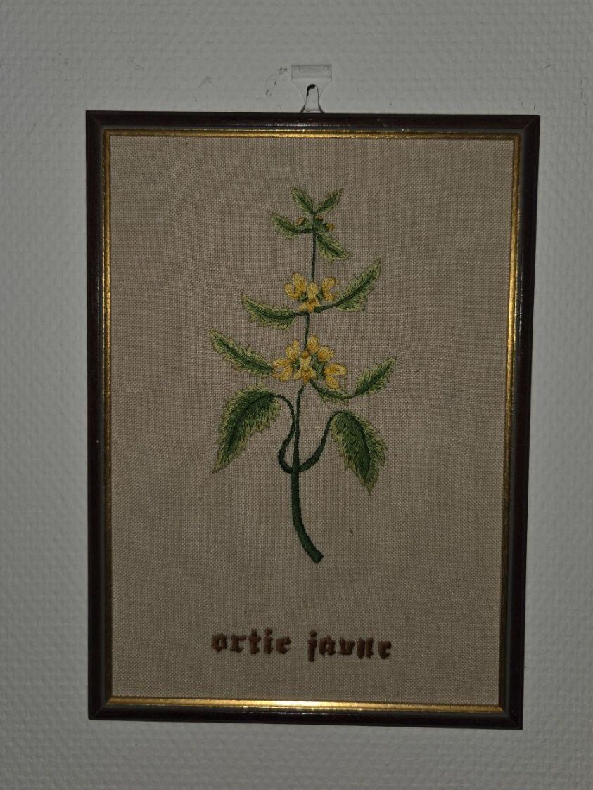 Gemälde: Broderie - Ortie Jaune - 32 x 23 cm – Gebraucht aus Plan-les-Ouates von NomadeMarchand 1