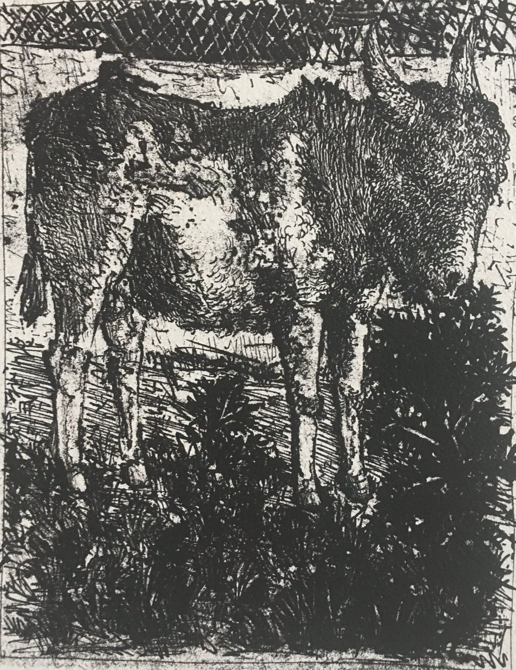 Grafica & Litografie: Pablo Picasso   Buffon Zyklus    "L' Ane"   Lithographie – Usato da Nennigkofen venduto da Sommersonnen 4