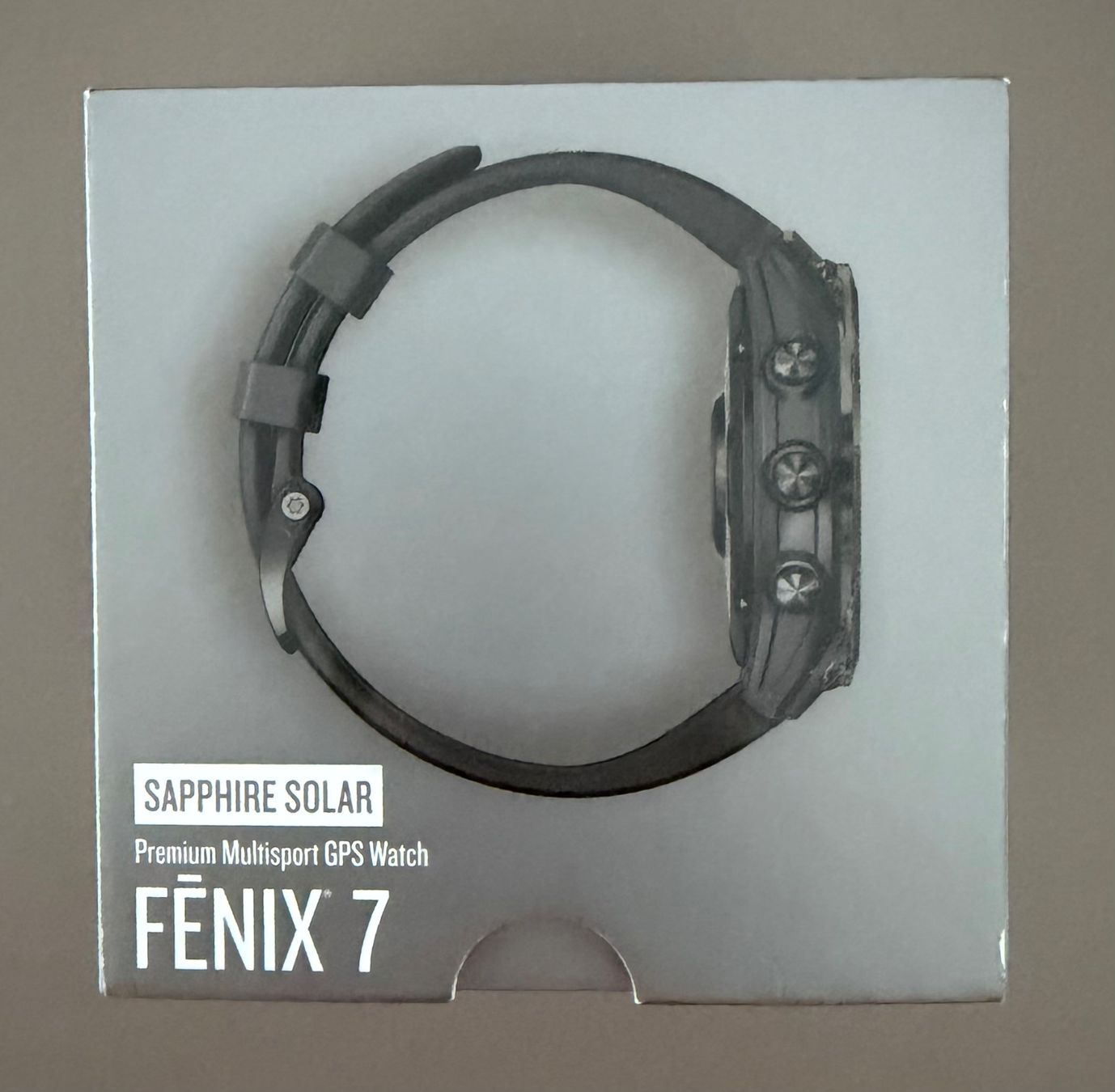 Fenix Smartwatch: Garmin Fenix 7 – Usato da Lachen SZ venduto da Vicuna001 2