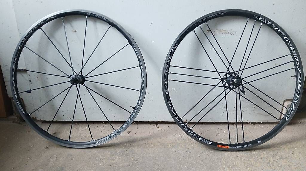 Pneumatici & Ruote complete: Roue Campagnolo  – Usato da Corcelles-le-Jorat venduto da Laurent2969 2