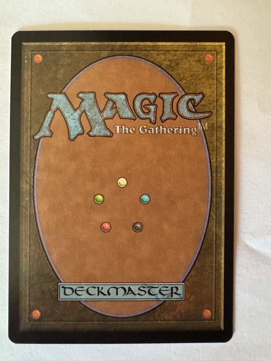 Magic The Gathering Carte collezionabili: MTG Sumpf Foil 7th Edition Alt – Usato da Stadel venduto da bewinshop 1