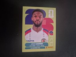 Panini WM 26 HAI 16