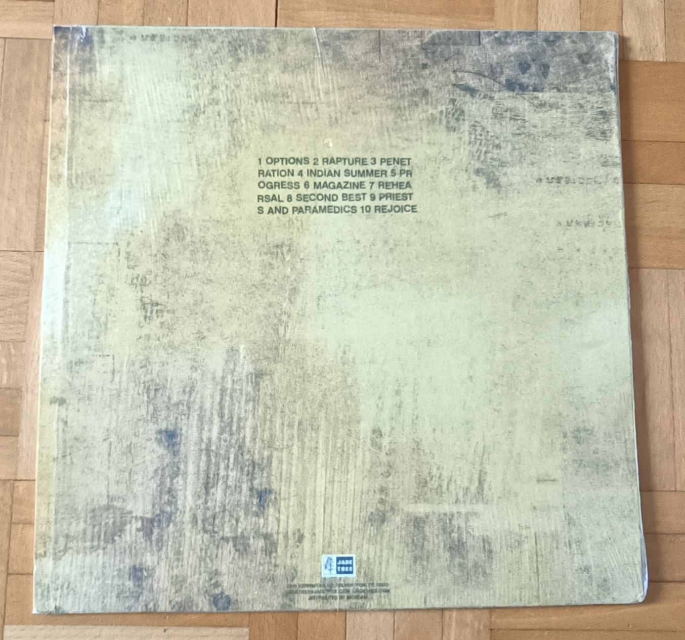 Dischi in vinile: PEDRO THE LION - Control CoLP – Usato da Luzern venduto da cryptonic79 1