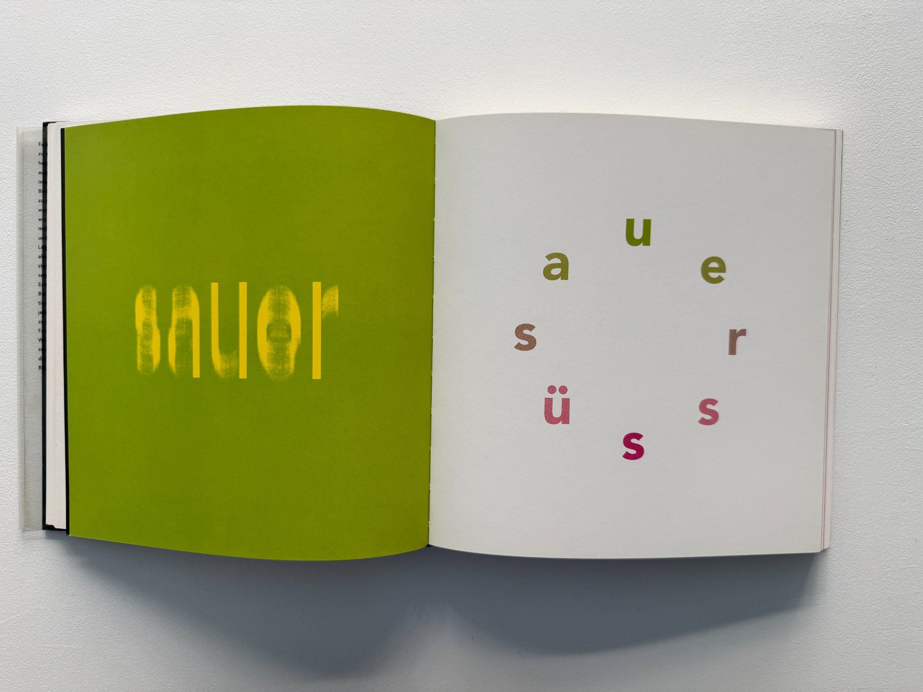 Libri: Farbhunger - Peter Jenny – Usato da Basel venduto da Kornblumen 3