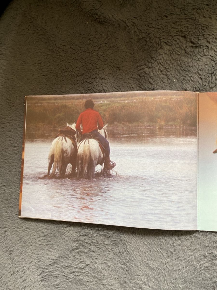 Dischi in vinile: Mein alter Schimmel Hü- Vinyl Single – Usato da Liestal venduto da Stephanoceras1 2