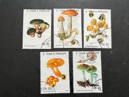 Mushrooms Saint Thomas & Prince 1990  gestempelt   (E258)