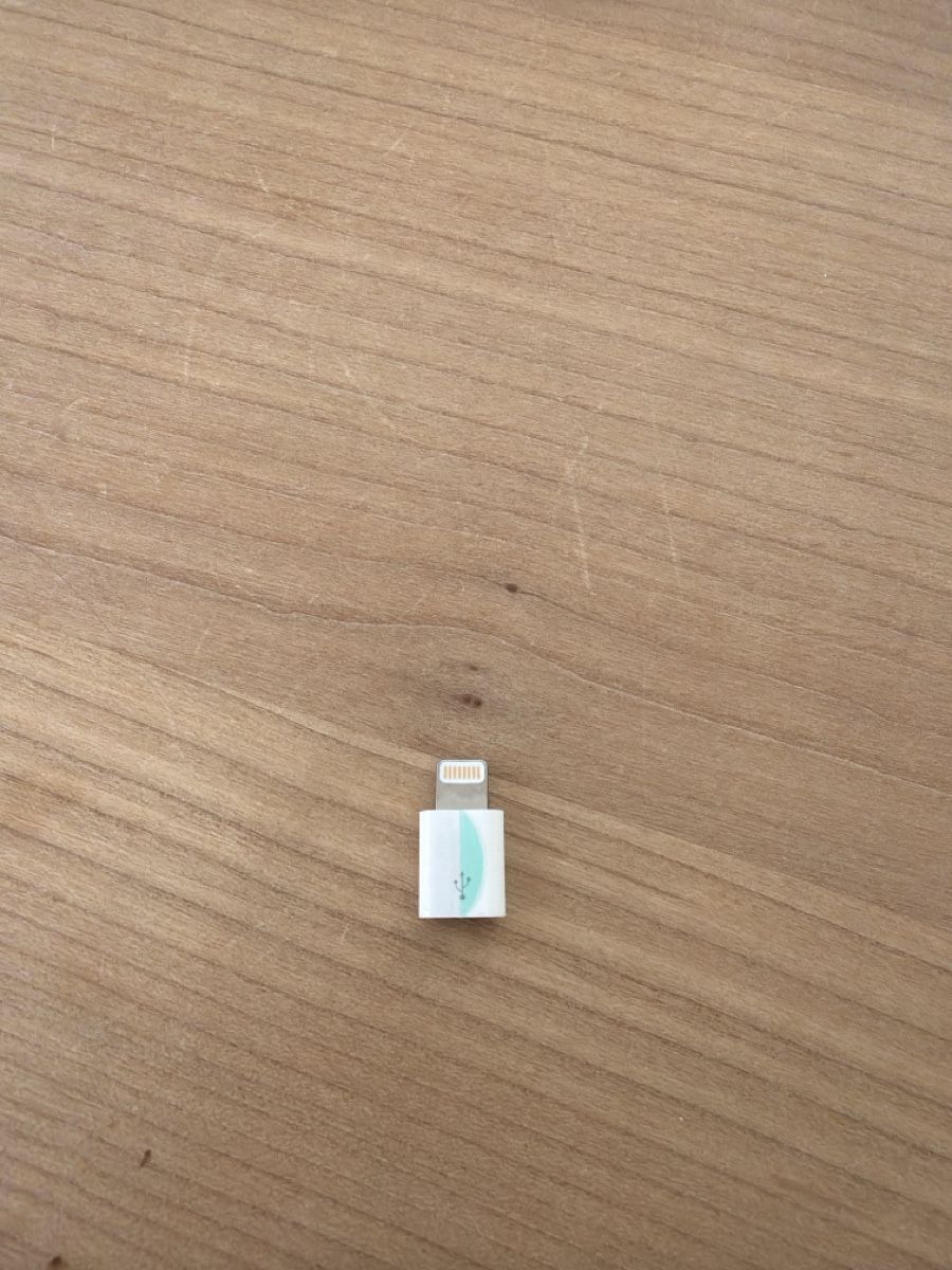 Apple Laufwerke & Adapter: Adapter Mini-USB zu Lightning  – Neu (gemäss Beschreibung) aus Münchenstein von mjaaxx