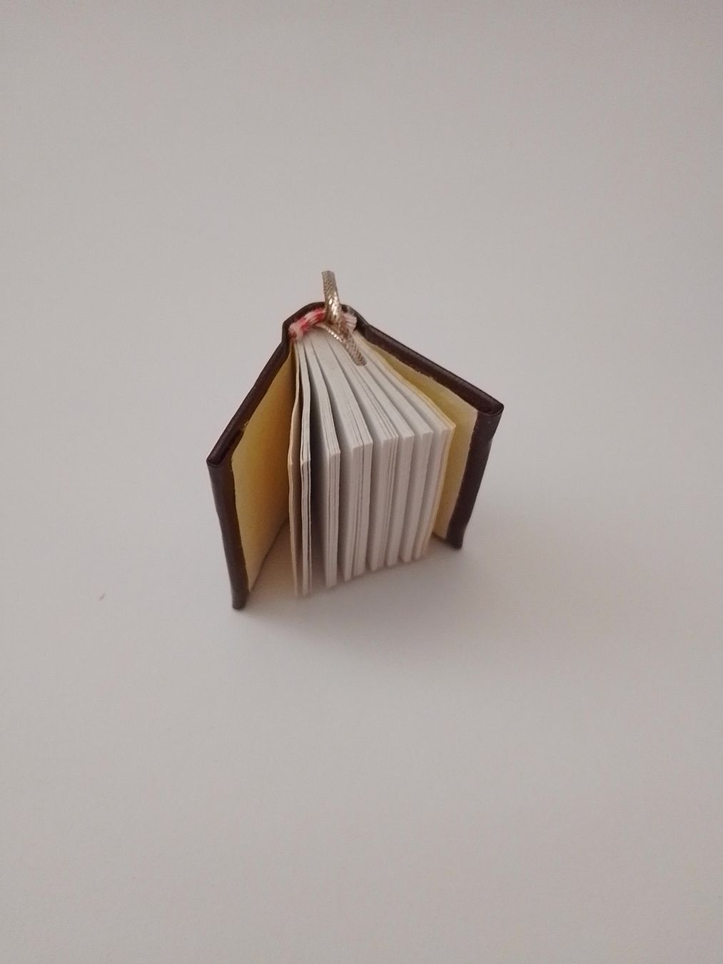 Bücher: livre miniature à pages blanches – Gebraucht aus Echandens von Gamora32 1