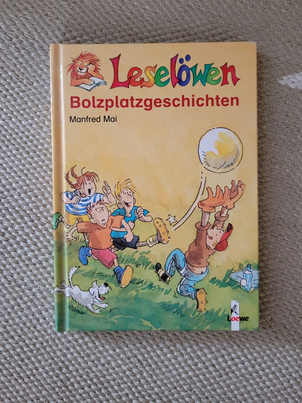 Libri: Bolzplatzgeschichten Leselöwen – Usato da Perlen venduto da Safari_23
