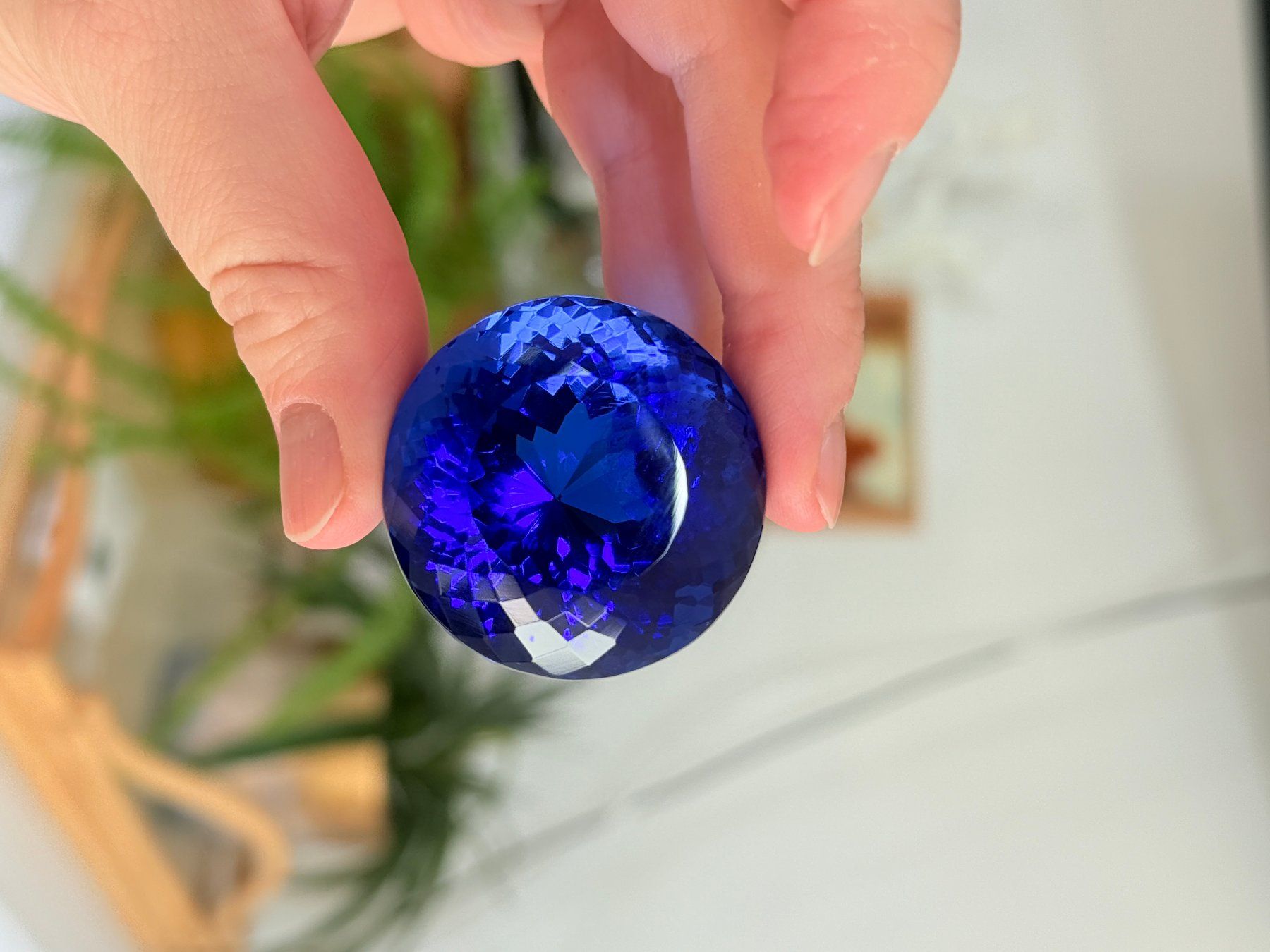 Pietre preziose: 295.20 Ct Certified Loose Gemstone – Nuovo e nell'imballaggio originale da Genève venduto da AWWA 6