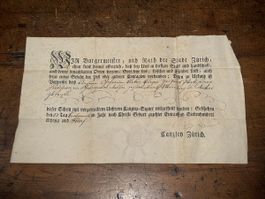 Historisches Dokument Zürich Gesundheitspass 1785 Original