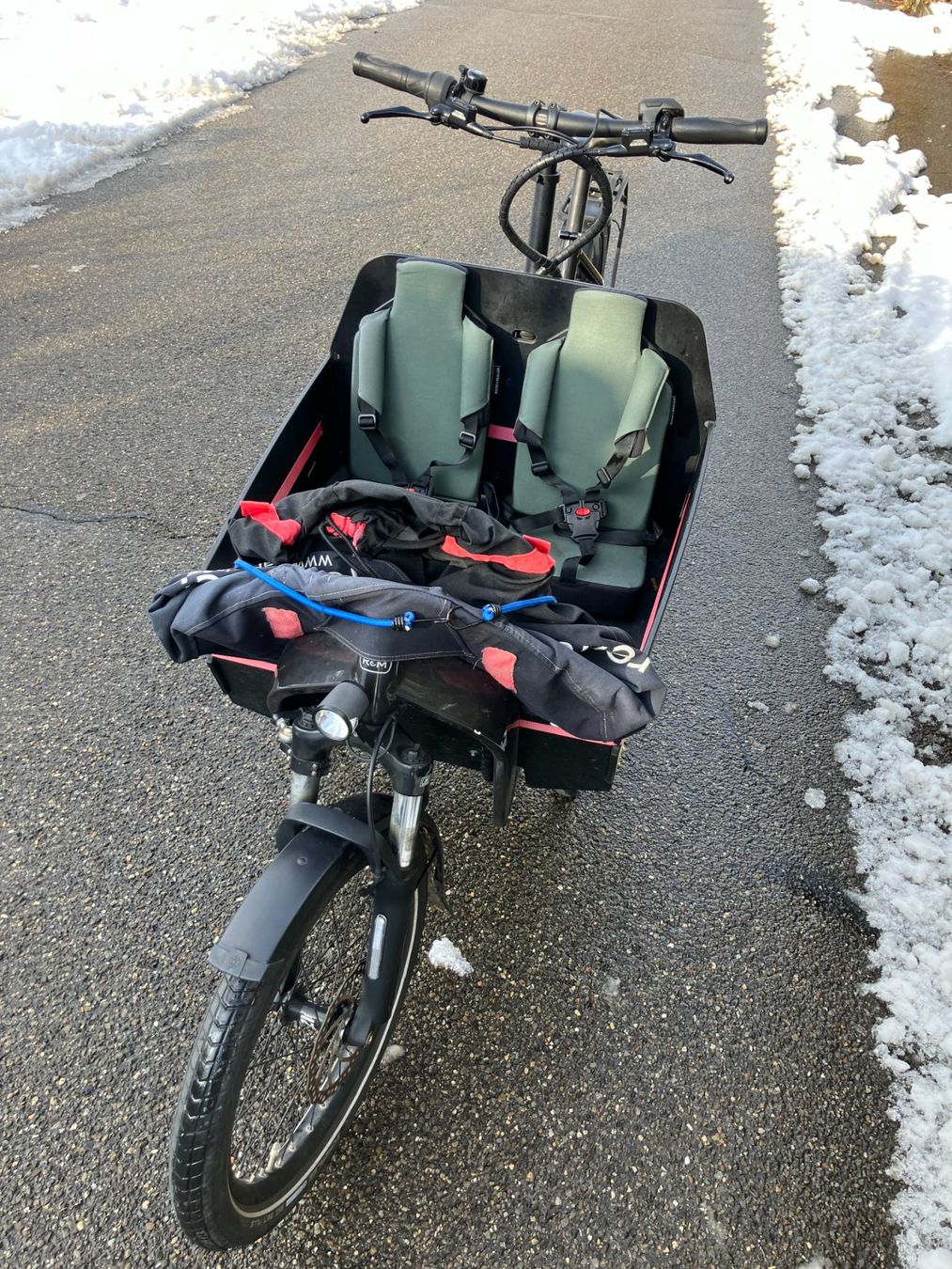 Riese & Müller Biciclette: eCargo Cargobike Riese & Müller Packster 60 Lastenrad – Usato da Fislisbach venduto da Promo 2