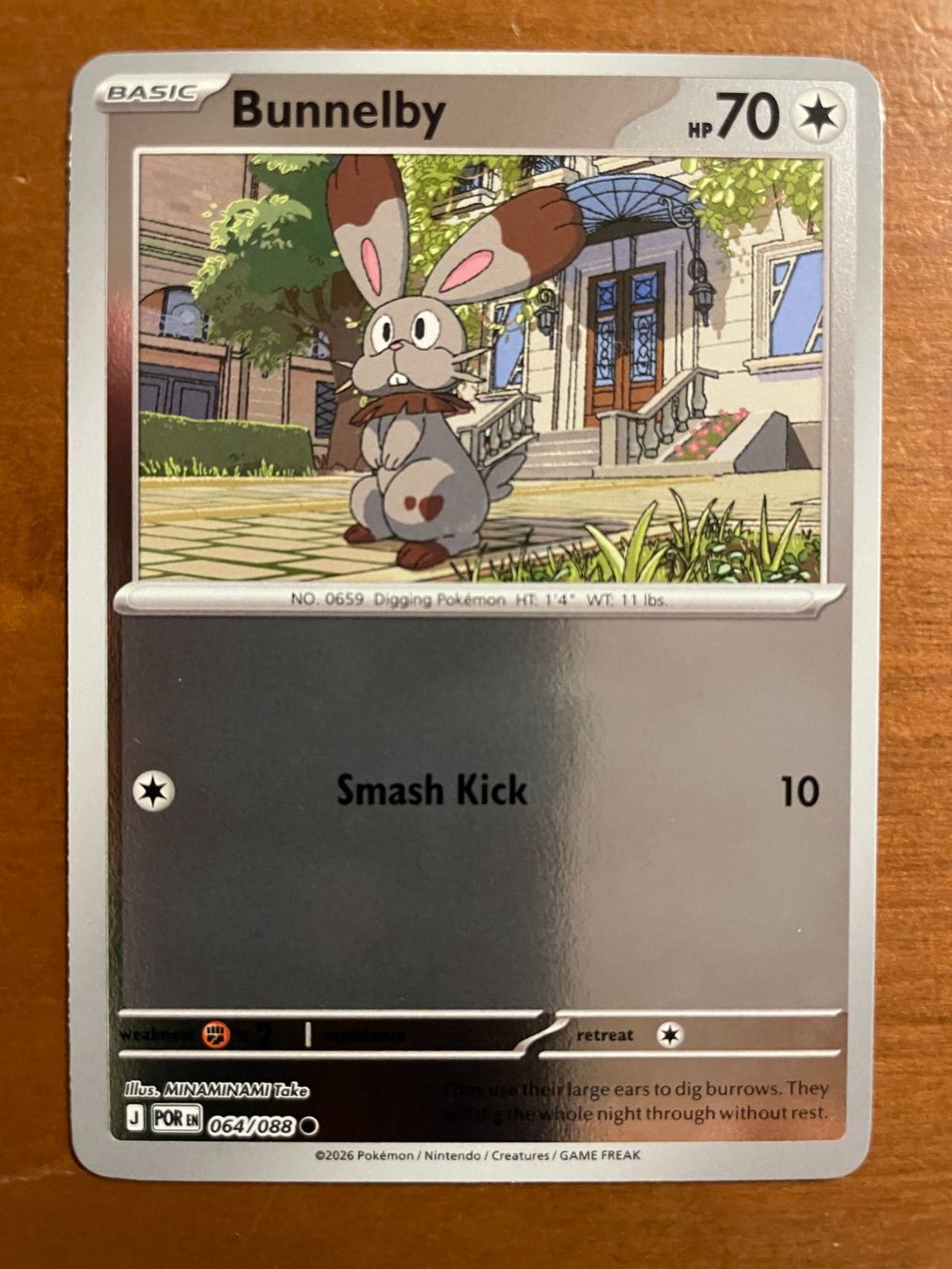 Pokémon Carte collezionabili: Pokemon Bunnelby Reverse (Versand gratis) – Nuovo (secondo la descrizione) da Chur venduto da Angerson
