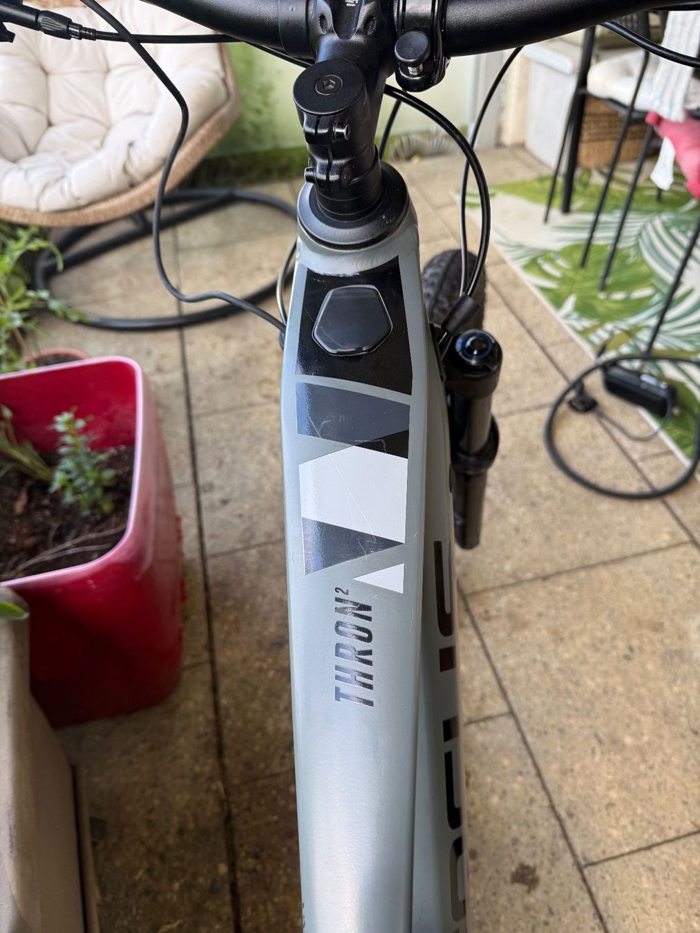 Focus Velos: Focus Thron – Gebraucht aus Rieden AG von ped_f7pk 2