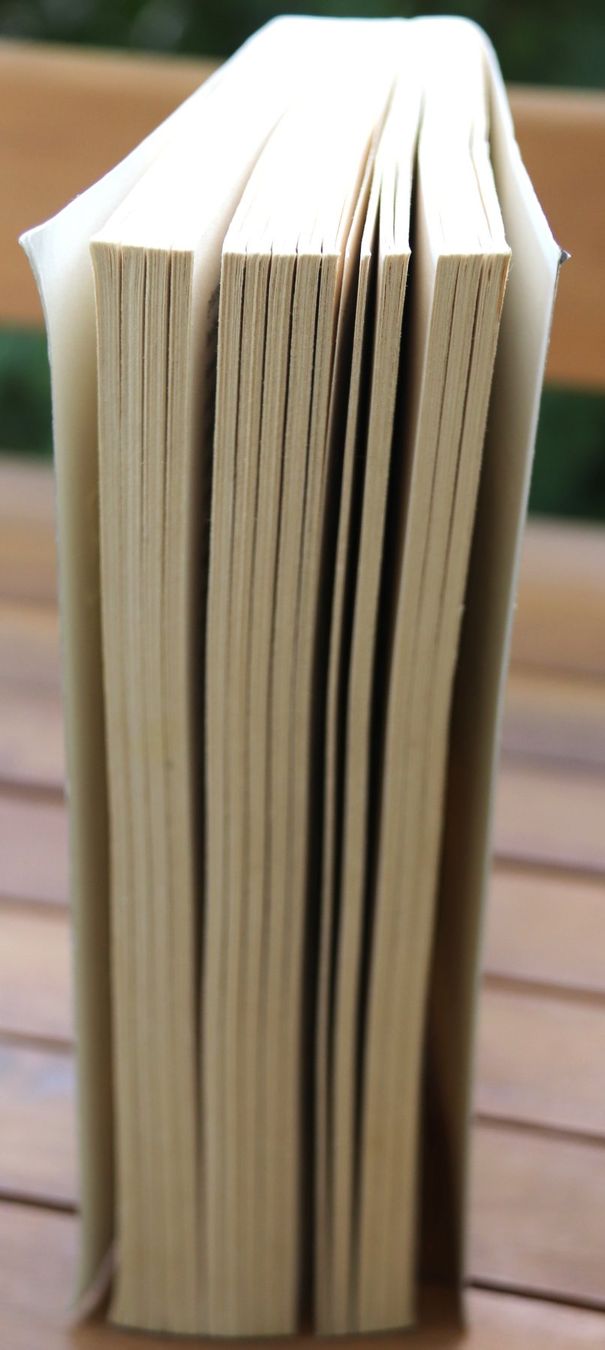Bücher: Keltengrab von Patrick Dunne – Gebraucht aus Glattfelden von Vrenely 3