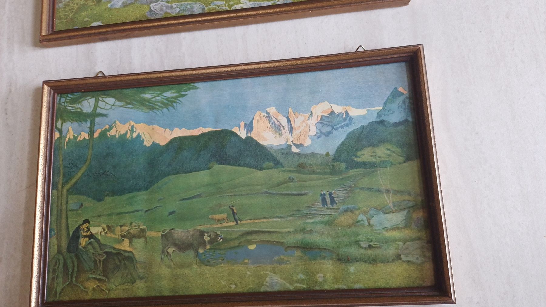 Foto & Immagini: 2 Bilder Segantini  – Usato da Flawil venduto da Naphtali 8