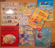 7 Kinderbücher Wimmelbuch Meerjungfrau Jahreszeiten Bibi