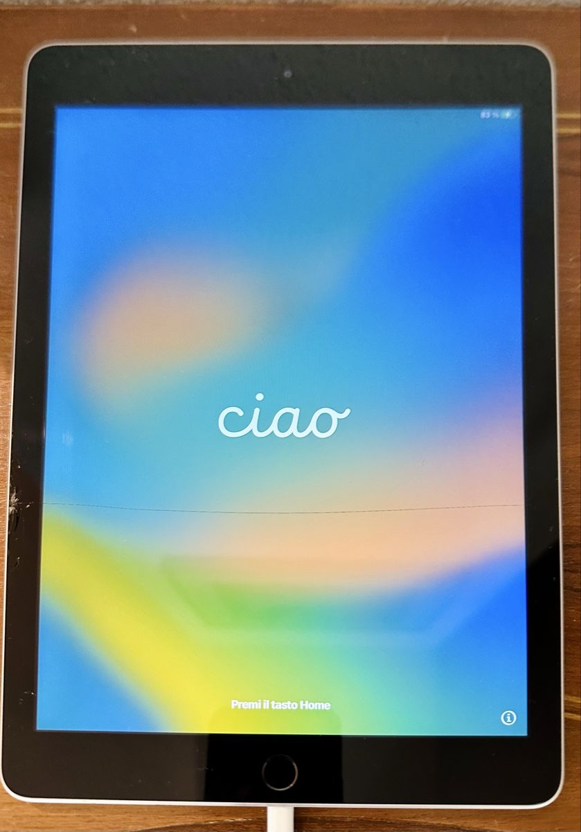Apple Tablet PC: Apple iPad (5. Generation)  Modell A1822, 128GB – Usato da Dornach venduto da landjeeger