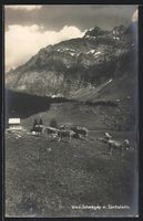 Schwägalp, Bergidyll mit Säntiskette