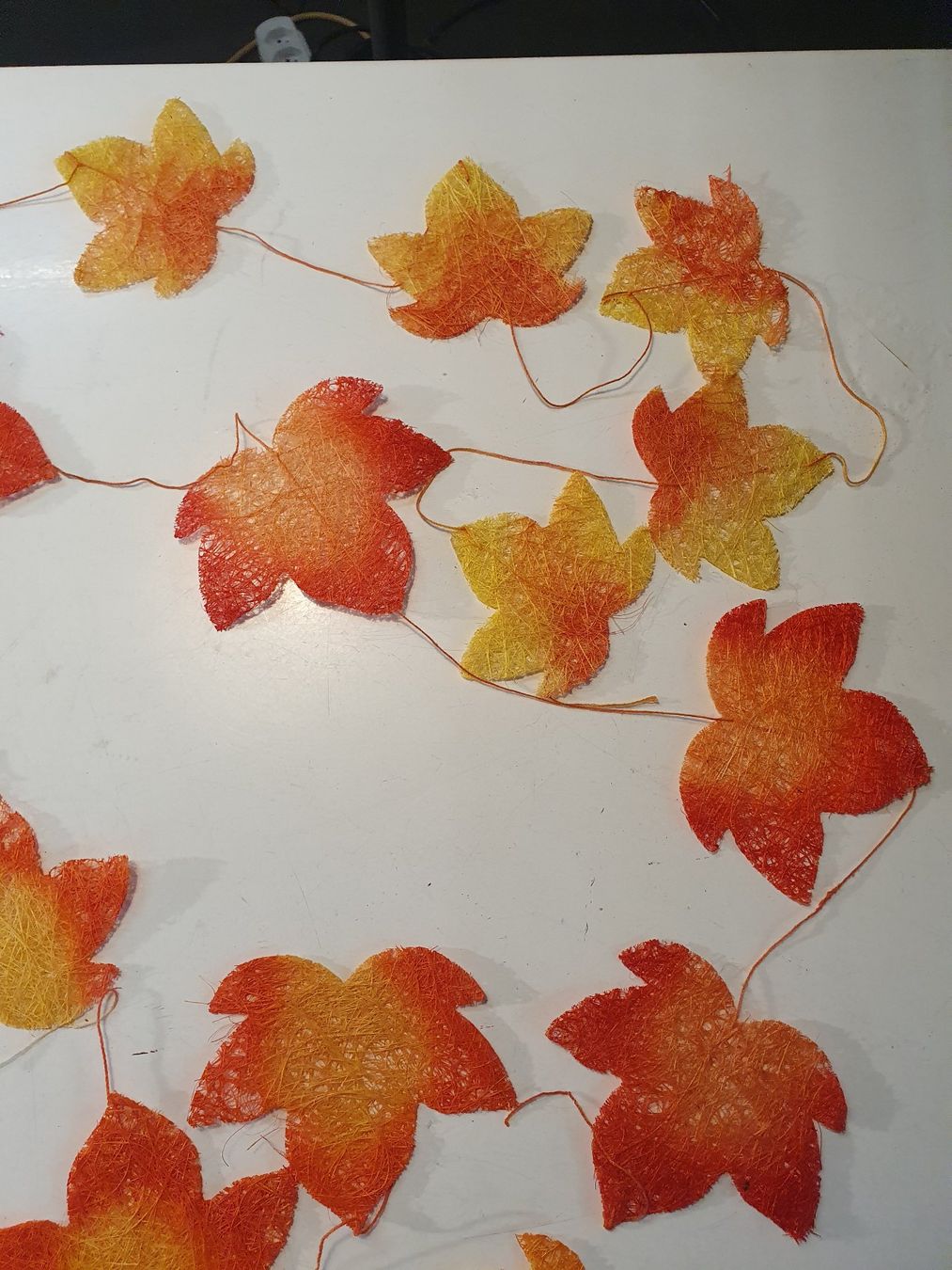Piante & sementi: Herbstschmuck – Usato da Zürich venduto da loosebone 6