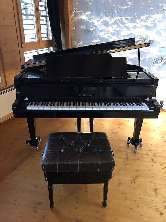 Strumenti musicali: Magnifique piano 1/4 queue à vendre  – Usato da Fully venduto da Rmailler 1