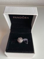 Pandora Disney Charm