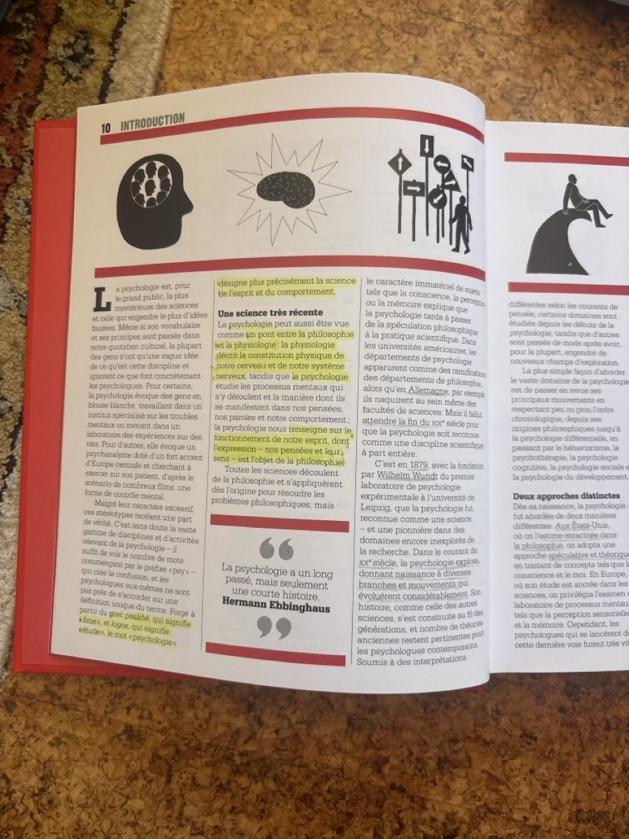 Libri: Psychologues Les grandes idées tout simplement – Usato da St-Légier-Chiésaz venduto da fat_56sr 2