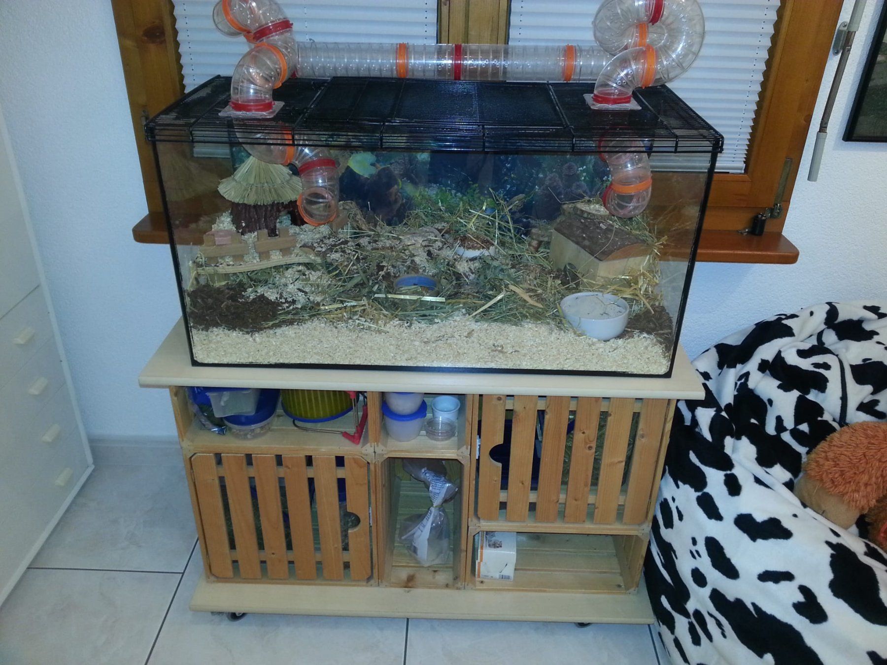 Terrarium: Hamsterkäfig mit Untermöbel – Gebraucht aus Stetten AG von Novell1 2