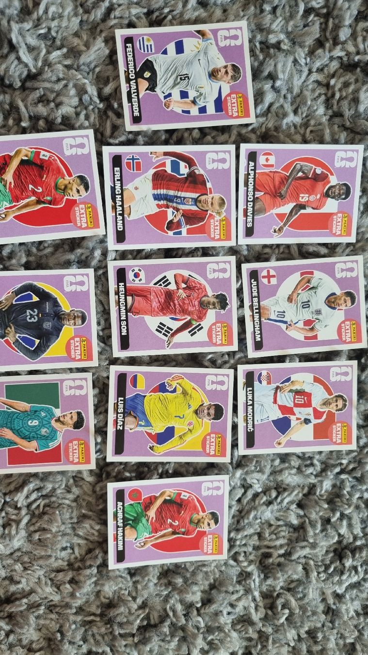 Panini Carte collezionabili: WM Panini – Usato da Lausen venduto da pga_6xwg
