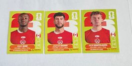 Panini FIFA World Cup WM 2026 - KANADA - CAN 11 - 12 - 14