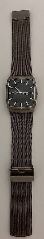 Skagen Orologi: Skagen Titanium – Usato da Dietfurt venduto da Amco 1