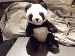 Panda-Bär, WWF