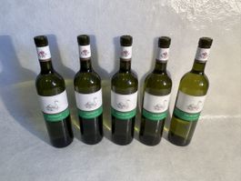 5x Goldküste Müller-Thurgau / Federweiss 2019 (Zürichsee)