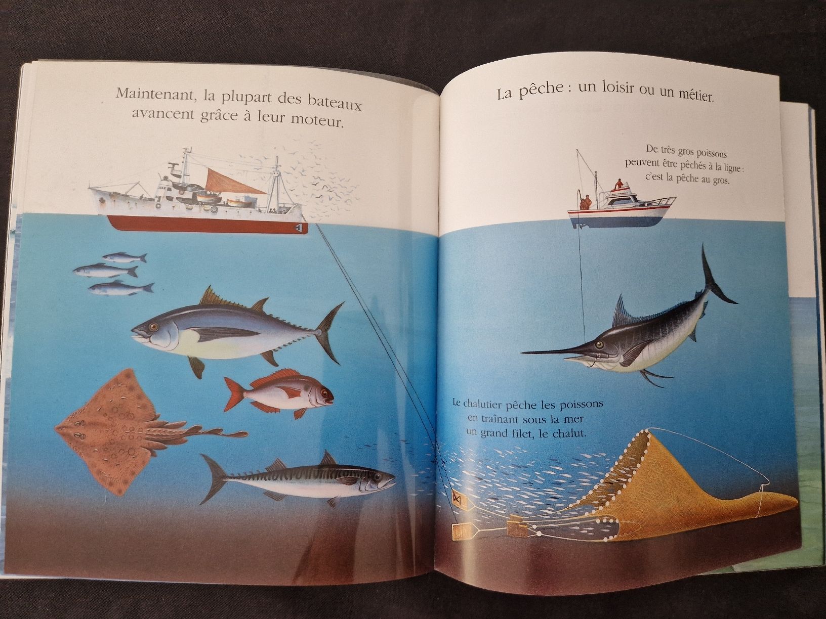 Bücher: Cache-Cache avec Le bateau – Neu (gemäss Beschreibung) aus Villars-sur-Glâne von Agnie80 4