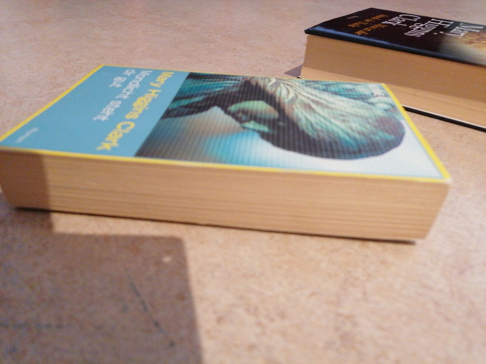Libri: 3 Thriller Bücher Mary Higgins Clark – Usato da Klingnau venduto da vollmond36 6